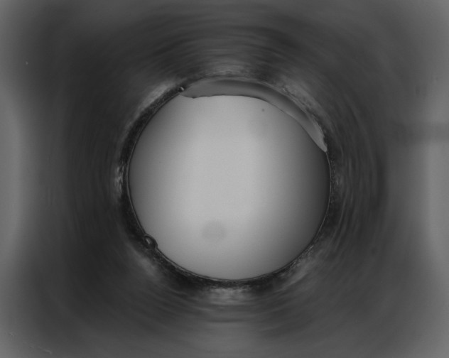 X0000086900160200705071250