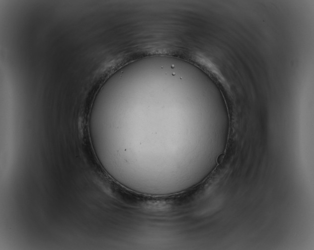 X0000086900161200705071250