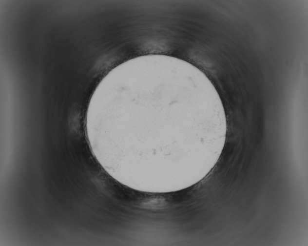 X0000086900162200705071250