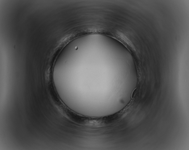 X0000086900163200705071250