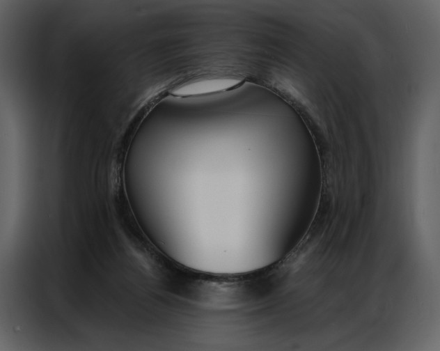 X0000086900164200705071250