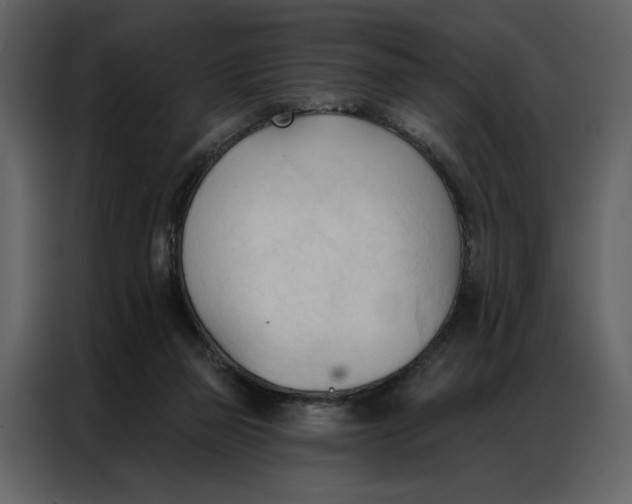 X0000086900165200705071250