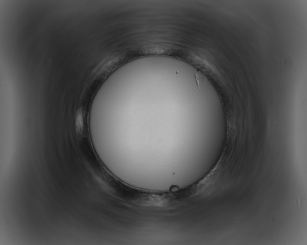 X0000086900166200705071250