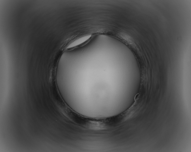 X0000086900167200705071251