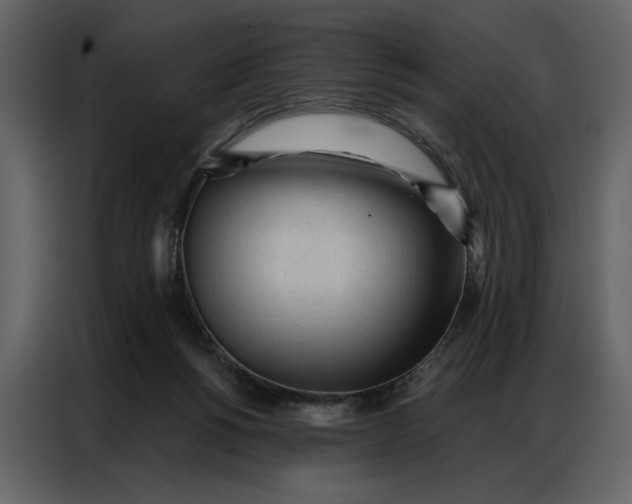 X0000086900168200705071251