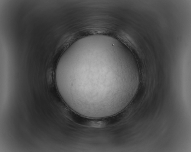 X0000086900169200705071251