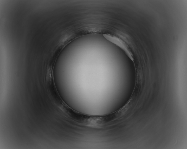 X0000086900172200705071251