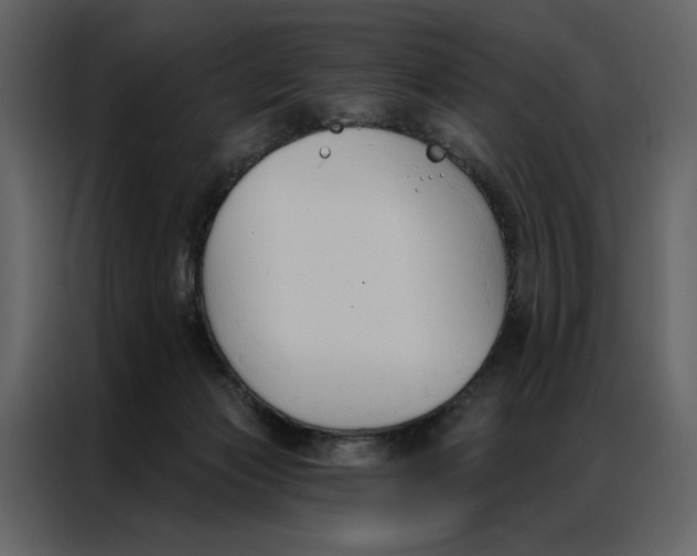 X0000086900173200705071251