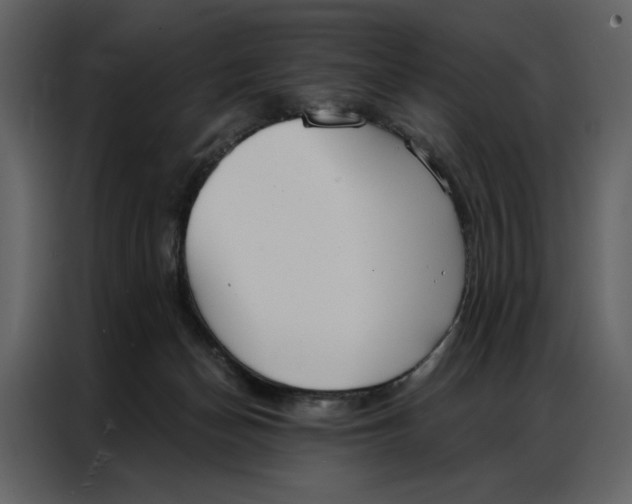 X0000086900174200705071251