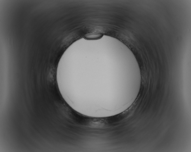 X0000086900175200705071251