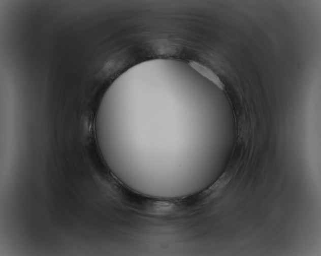 X0000086900176200705071251