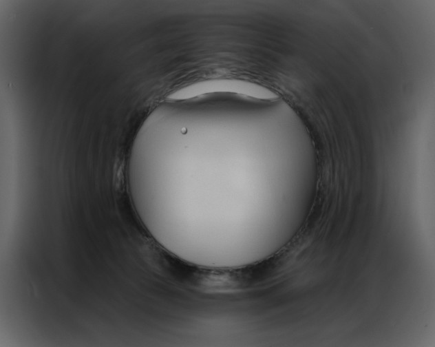 X0000086900177200705071251