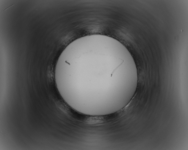 X0000086900179200705071251