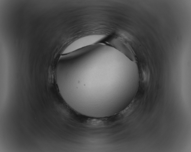 X0000086900180200705071251