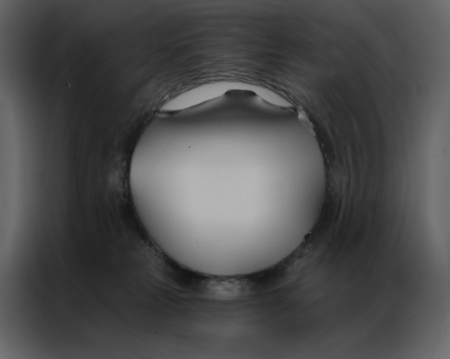 X0000086900181200705071251