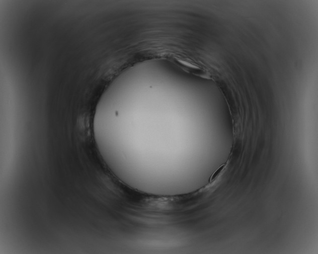 X0000086900182200705071251