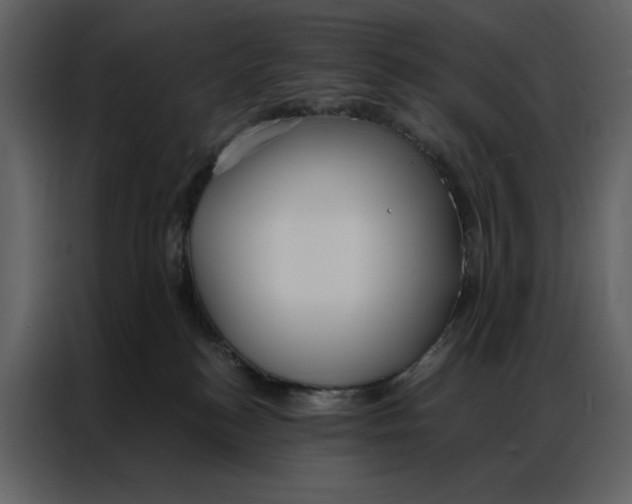 X0000086900184200705071251