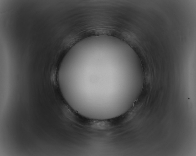 X0000086900185200705071251