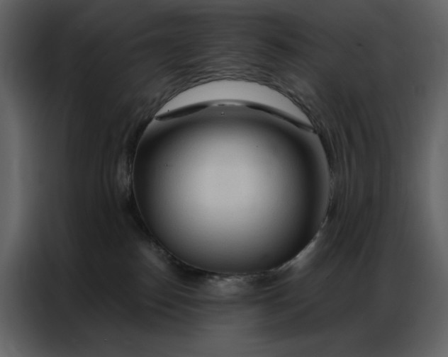 X0000086900186200705071251