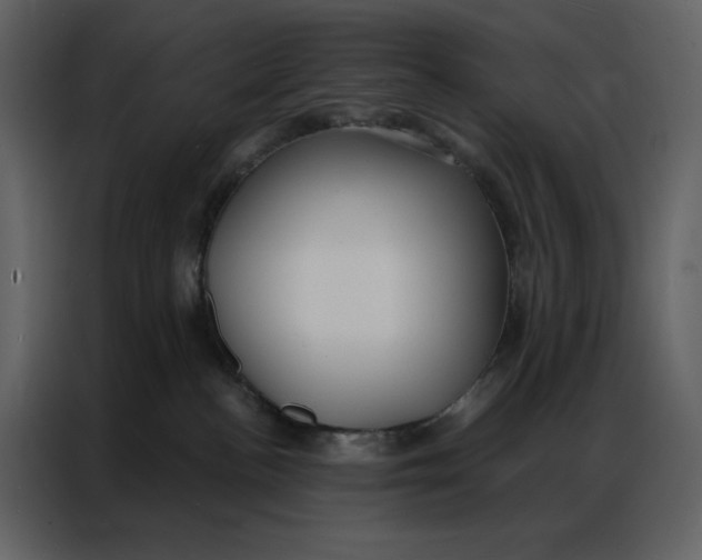 X0000086900188200705071251