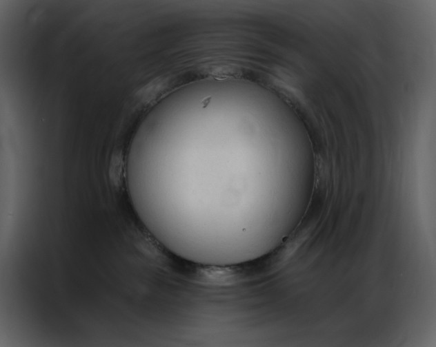 X0000086900189200705071251