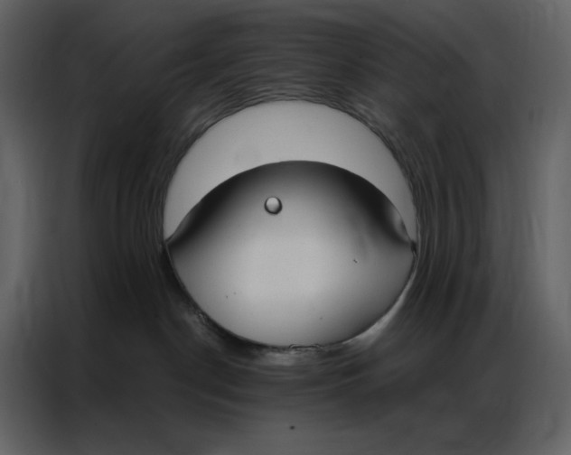 X0000086900190200705071251