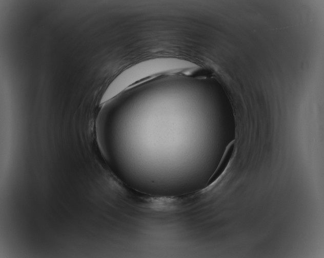 X0000086900192200705071251