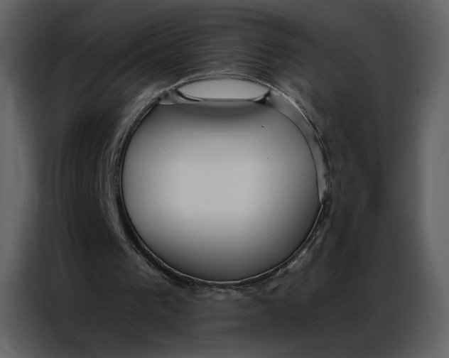 X0000086900193200705071250