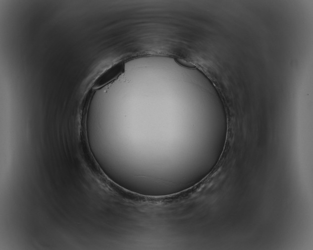 X0000086900194200705071250