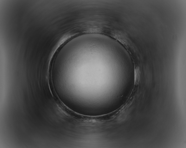 X0000086900195200705071250