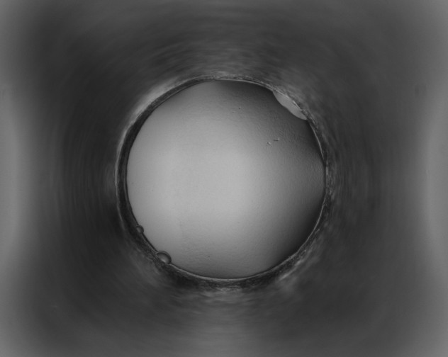 X0000086900196200705071250