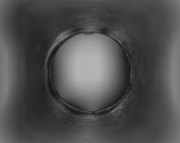 X0000086900198200705071250