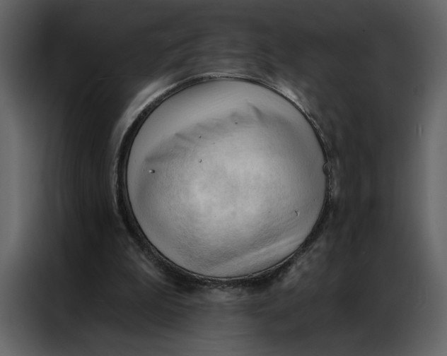 X0000086900199200705071250