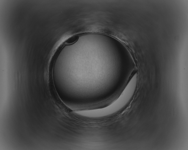 X0000086900200200705071250