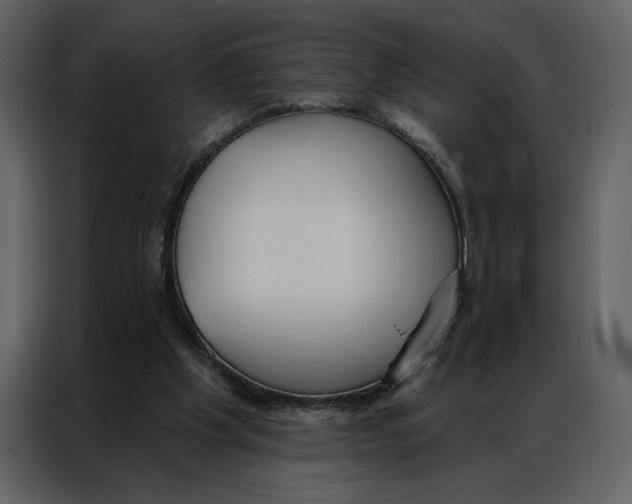 X0000086900201200705071250