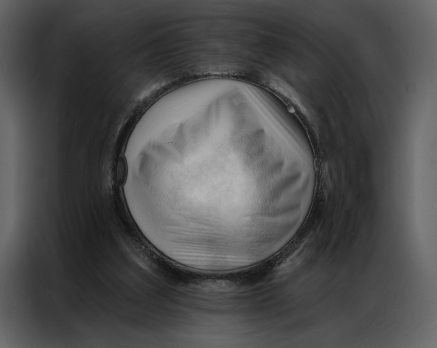 X0000086900203200705071250