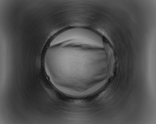 X0000086900204200705071250