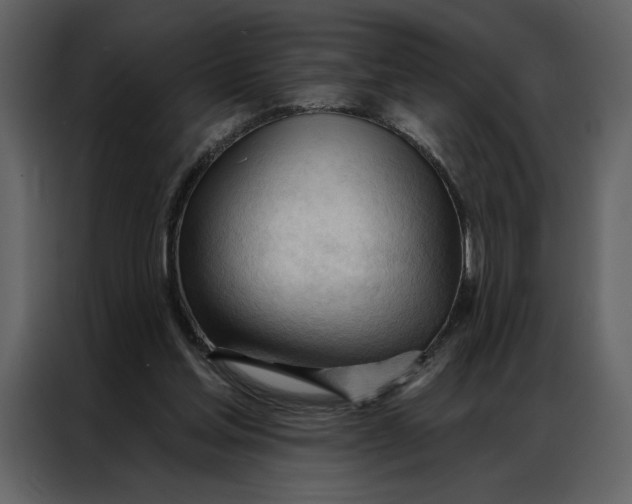 X0000086900205200705071250