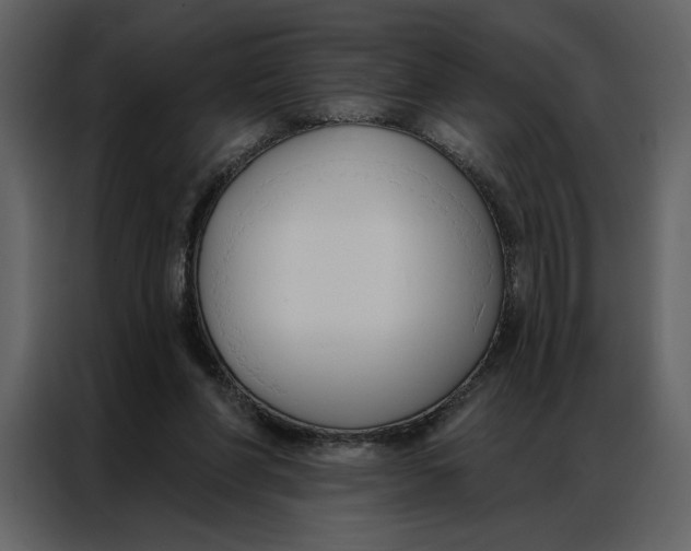 X0000086900206200705071250