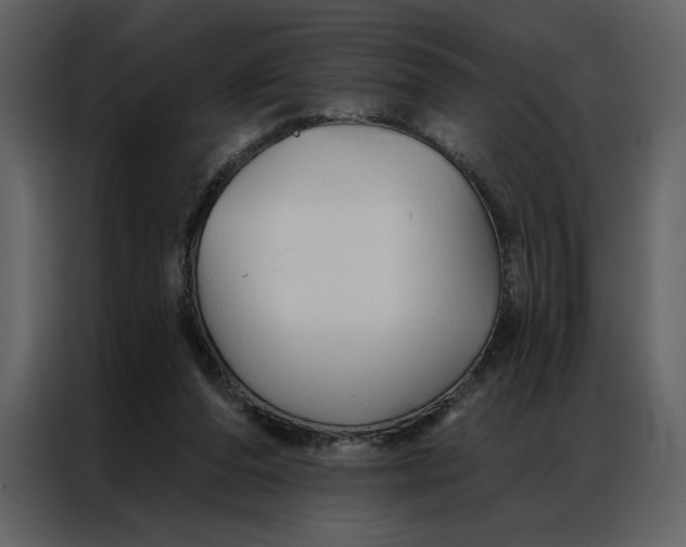 X0000086900208200705071250