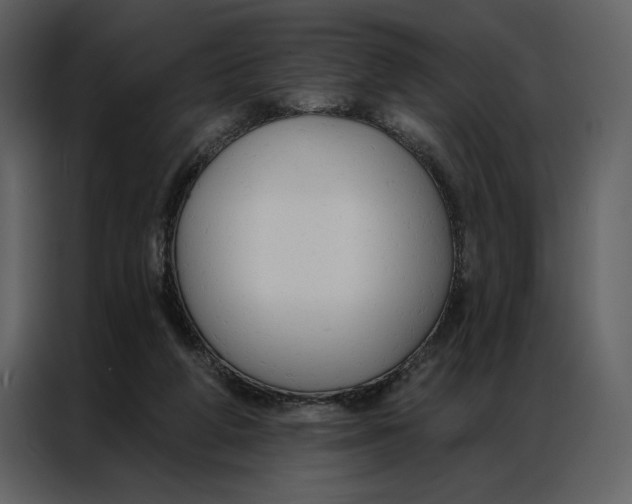 X0000086900210200705071250