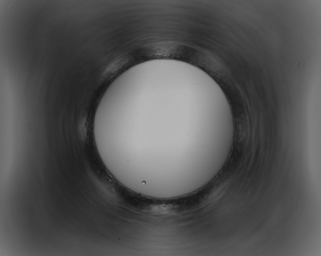 X0000086900216200705071250