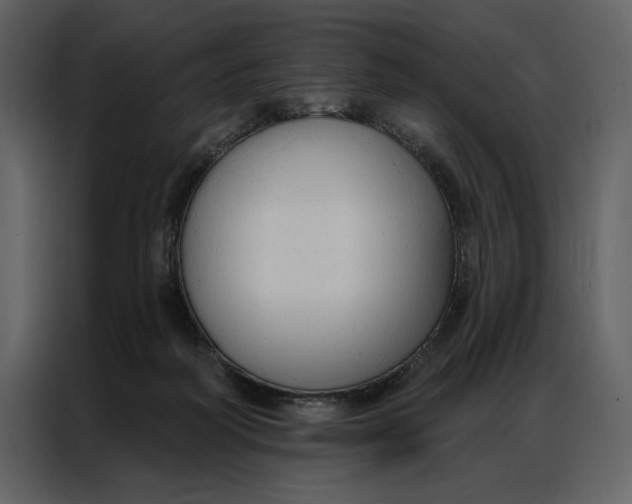 X0000086900218200705071250