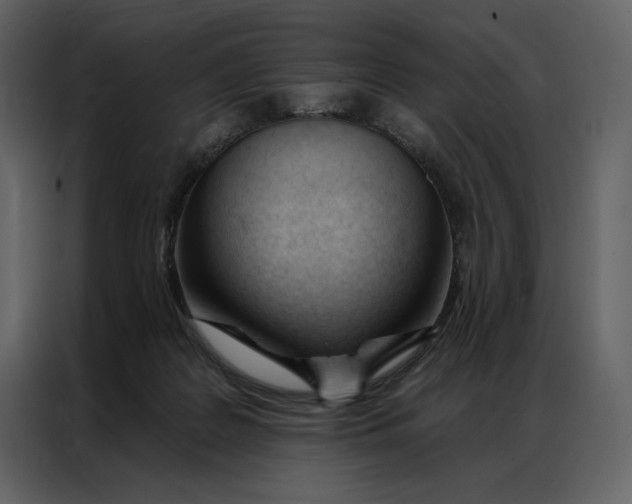 X0000086900219200705071250