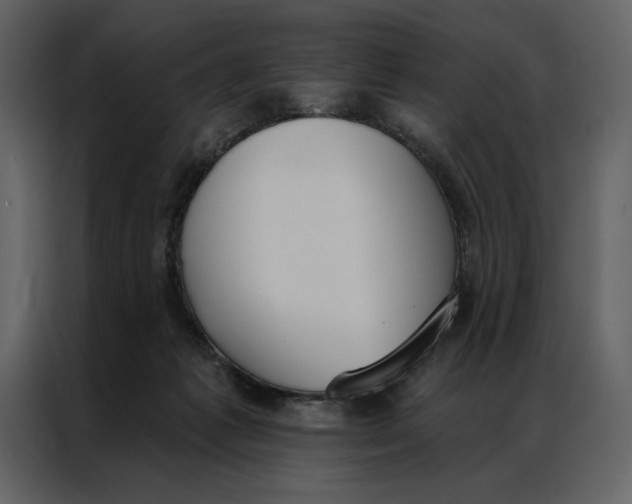 X0000086900221200705071250