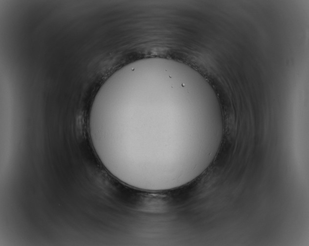 X0000086900222200705071250