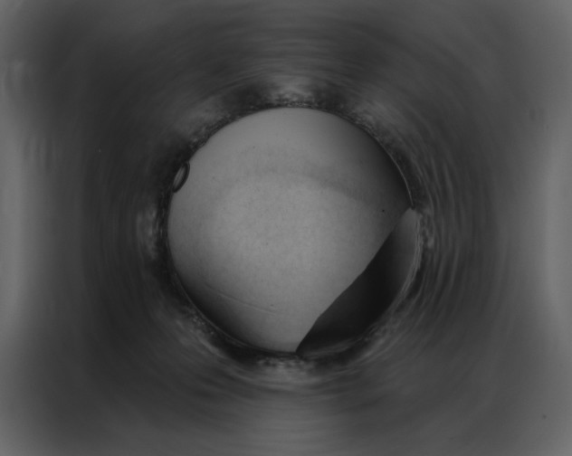 X0000086900223200705071250