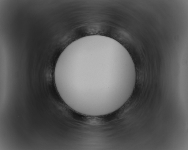 X0000086900226200705071250