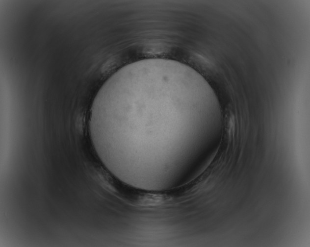 X0000086900227200705071250