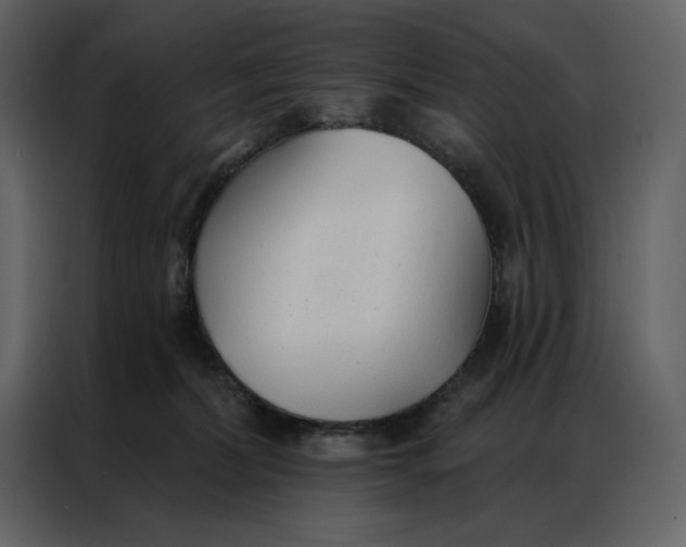 X0000086900228200705071250